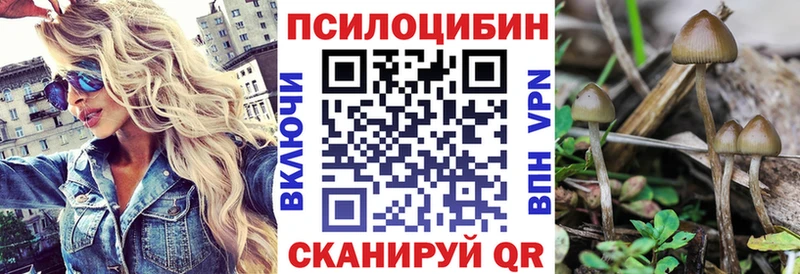 Псилоцибиновые грибы мухоморы  кракен онион  Кировград 